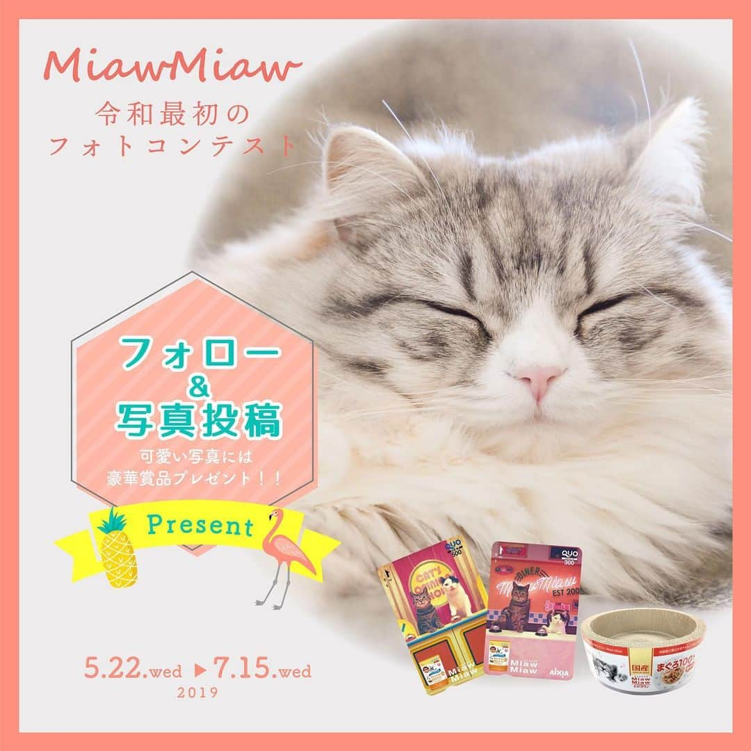 MiawMiawさんのインスタグラム写真 - (MiawMiawInstagram)「＼MiawMiaw　令和最初のフォトコンテスト　開催中！／⁣⁣ 新元号を記念して、素敵なフォトを大募集！🌞💕⁣⁣ ⁣⁣ 令和が始まって初のMiawMiawフォトコンテストで⁣⁣ 自慢の猫ちゃんを投稿して豪華賞品をGET😻⁣⁣ ⁣⁣ 皆さまのご参加をお待ちしております🐈⁣⁣ ⁣⁣ ＜参加方法＞ ⁣⁣ ① @miawmiaw_series (ミャウミャウ公式アカウント)をフォロー⁣⁣ ② 応募テーマに合ったお写真を撮影する（過去に撮影したお写真の投稿も可)⁣⁣ ③ 下記の指定ハッシュタグの中から、一つ選んで投稿する（複数応募・複数枚投稿可）⁣⁣ ⁣⁣ ＜フォトコン専用ハッシュタグ＞⁣⁣ ①～③のいずれかのフォトコン専用ハッシュタグを付けて投稿してください♪⁣⁣ 【①猫ちゃんのリラックスしているフォト】⁣⁣ #リラックスmiawmiaw2019夏 ⁣⁣ ※「夏」を付けていただかないと⁣⁣⁣⁣今回の応募の対象になりませんのでご注意ください。⁣※⁣⁣⁣⁣⁣ ⁣⁣ 【②猫ちゃんと令和にちなんだ記念フォト】⁣⁣ #令和miawmiaw⁣⁣ ※二枚目のスライド写真を是非ご利用ください！※⁣⁣ ⁣⁣ 【③猫ちゃんと夏にちなんだフォト】⁣⁣ #夏猫miawmiaw2019⁣⁣ ⁣⁣ フォトコンテスト期間中、指定のハッシュタグでご参加いただいてる方を、⁣⁣ 当アカウントでご紹介させていただくこともございます😻⁣⁣ ⁣⁣ ＜募集期間＞⁣⁣ 2019年5月22日(水)～2019年7月15日(月)23:59まで⁣⁣ ⁣⁣ ＜賞品＞⁣⁣ 大賞✨（3名さま　※各ハッシュタグ×1名さまずつ）投稿フォト入りオリジナル爪とぎ + ＭiawＭiaw商品詰め合わせ⁣⁣ 金賞✨（9名さま　※各ハッシュタグ×3名さまずつ）オリジナルクオカード2枚セット800円分 + ＭiawＭiaw商品詰め合わせ⁣⁣ 銀賞✨（15名さま　※各ハッシュタグ×5名さまずつ）ＭiawＭiaw商品詰め合わせ⁣⁣ ※賞品の画像はイメージです。変更になる場合がございます。⁣⁣ ⁣⁣ ＜当選者様へのご連絡＞⁣⁣ 当選者発表は7⽉下旬を予定しております。⁣⁣ 当選者の⽅には Instagram上のDMにてご連絡致します。⁣⁣ ⁣⁣ ＜ご注意＞⁣⁣ ＊本キャンペーンにご参加いただくことにより、本募集要項に同意いただいたものとみなします（未成年の方については、親権者に同意いただいたものとみなします）。⁣⁣ ＊抽選時に、アカウントフォロー及び指定のハッシュタグ投稿を継続いただいていることが確認できない場合、抽選の対象から外れることがあります。フォトコンテスト終了からおおむね1か月程度、参加条件に達する状態を継続いただくことをお勧めします。⁣⁣ ＊アカウントを非公開設定にしている場合は選考対象外となります。⁣⁣ ＊再抽選は行いません。⁣⁣ ＊当選者は、配送の都合で日本国内のにお住まいの方に限らせていただきます。⁣⁣ ＊企業アカウントからのご応募は選考対象外となります。⁣⁣ ＊賞品の返品・交換はできませんのでご了承くださいませ。⁣⁣ ＊賞品の転売は禁止させていただきます。 ⁣⁣ ＊通信環境の問題でDMが不着となった場合、又はご当選通知のDMに記載の手続きを履行いただけない場合、ご当選の資格は無効となります。⁣⁣ ＊賞品画像はイメージとなります。⁣⁣ ＊本キャンペーン参加にあたって生じるインターネット接続料や通信料、当選連絡DMに記載の手続を履践するにあたって生じる諸費用は、ご本人様の負担となります。⁣⁣ ＊本キャンペーンで投稿いただいた写真や動画の中は、当社公式Instagramアカウントにてご紹介させていただく場合がございます。なお、このご紹介はプレゼントの当選とは関係がありません。⁣⁣ ⁣⁣ たくさんのご応募お待ちしております！⁣⁣ ⁣⁣ #miawmiaw #ミャウミャウ⁣⁣ #miawmiaw令和最初のフォトコンテスト ⁣⁣ ⁣⁣ #令和miawmiaw⁣⁣ #夏猫miawmiaw2019⁣⁣ #リラックスmiawmiaw2019夏⁣⁣ ⁣⁣ #フォトコンテスト #コンテスト⁣⁣ #プレゼント企画 #プレゼント #プレゼントキャンペーン ⁣⁣ #キャンペーン開催中 #キャンペーン⁣⁣ ⁣⁣ #ねこのいる生活 #ねこばか #ネコ好き⁣⁣ #猫 #ねこ #ネコ #にゃんこ #猫部 #ねこ部 #キャットフード #猫好きさんと繋がりたい #猫好き #にゃんこ部 #にゃんすたぐらむ #ねこすたぐらむ #にゃー」6月7日 12時02分 - miawmiaw_series