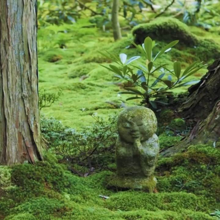 LeTRONC ルトロンのインスタグラム