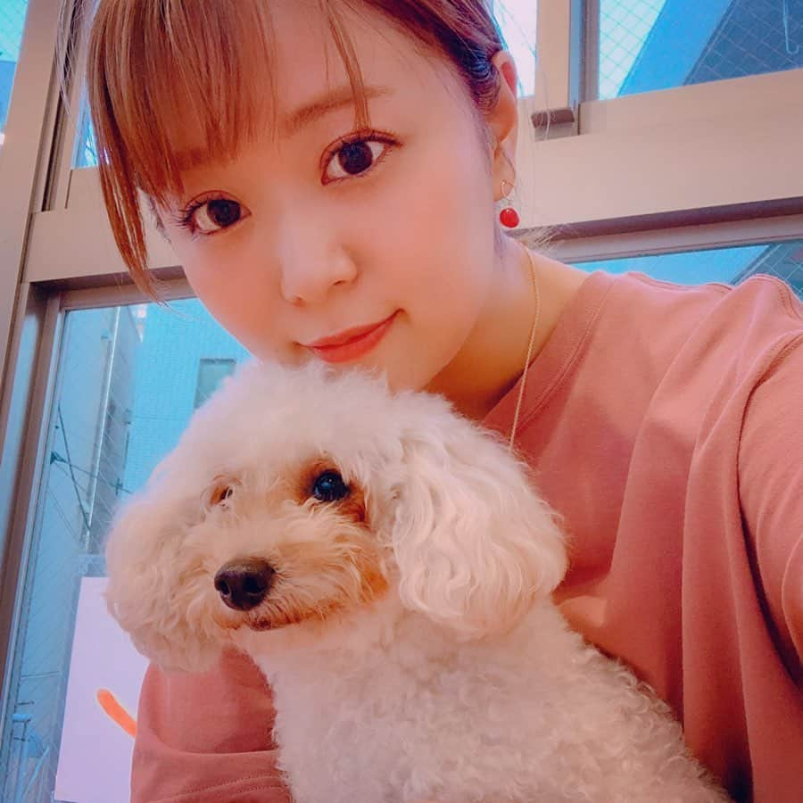 井口裕香さんのインスタグラム写真 - (井口裕香Instagram)「いつかのソロ活🐶 #unozero  きょうは金曜日！ ウノゼーロ、聴いてくださいね〜〜🧤」6月7日 12時12分 - ooo31_iguchiyuka_31ooo