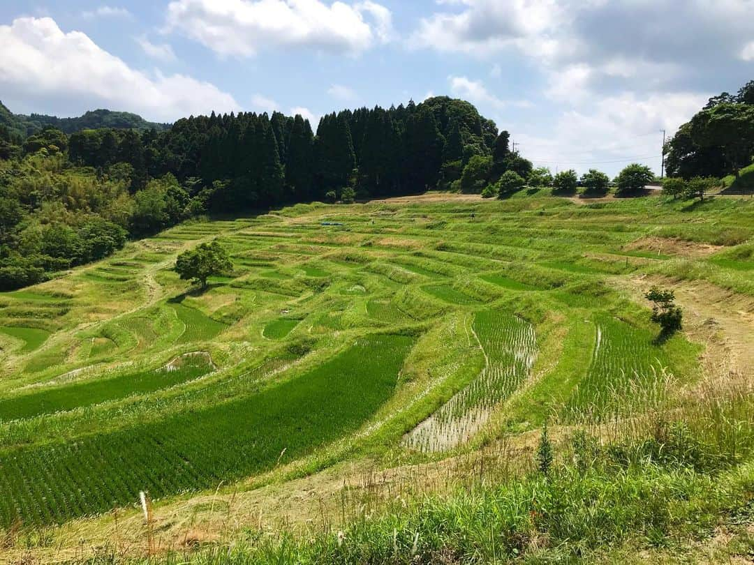 ドーキンズ英里奈さんのインスタグラム写真 - (ドーキンズ英里奈Instagram)「鴨川へ🚗 ⠀ bayfm Spice Up SUNDAY 次は鴨川ドライブです☺️ ⠀ 今週末までが、佐原香取ドライブ ラストはお洒落なカフェを紹介するよ☕️✨ ⠀ ⠀ 日曜13:30前後にSprice up report bayfmでレポートコーナーあるので ぜひ聴いてくださいな📻🎶 ⠀ ⠀ #千葉 #鴨川 #大山千枚田 #海 #ドライブ #海沿い #spiceup78 #bayfm #radio ⠀」6月7日 12時37分 - erinadawkins