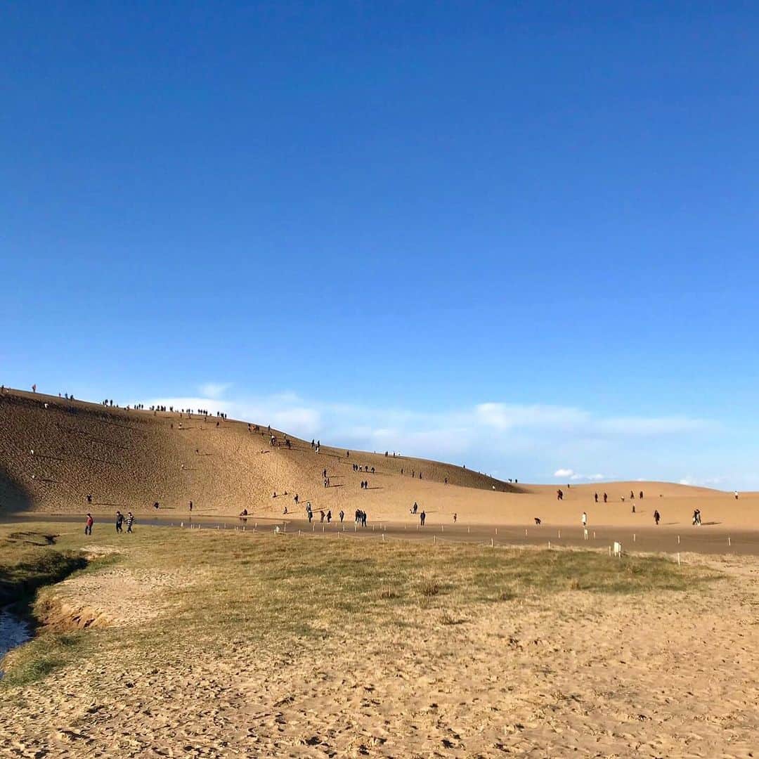 旅行比較サイト・トラベルコ 理想の旅を、いちばん安く。さんのインスタグラム写真 - (旅行比較サイト・トラベルコ 理想の旅を、いちばん安く。Instagram)「まるで砂漠!?かのような広大な砂地。こちらは、 #鳥取県 の人気観光地 #鳥取砂丘 です。﻿ ﻿ 日本最大級の砂丘である鳥取砂丘では、とにかくそのスケール感に圧倒されます。一歩足を踏み入れると、見渡す限りの砂…。日本でこんな風景が見られるなんて！　と感動しちゃいます✨﻿ ﻿ 歩くのは少し大変ですが、「馬の背」と呼ばれる砂丘列を登りきると日本海が一望できて、とても気持ちがいいですよ。﻿ ﻿ 砂丘ではらくだに乗る体験のほか、パラグライダー、サンドボードなど、さまざまなアクティビティも楽しめます♪﻿ ﻿ 朝早い時間帯に行くとまだ人の足跡も少なくキレイですが、日が沈むころの景色も美しいので夕方もおすすめ。﻿ ﻿ そしてこれからの時期のおでかけは、暑さ＆日差し対策がマスト！　帽子やサングラス、水分も忘れずにお持ちくださいね。﻿ *﻿ *﻿ *﻿ あなたが訪れた旅先での写真に《 @travelko_chan 》《 #トラベルコ 》《 #travelko 》とタグ付けして投稿してみてください！こちらのアカウントで紹介させていただくかもしれません♪﻿ *﻿ *﻿ *﻿ #鳥取 #砂丘 #sunset #tottori #japan #絶景 #国内旅行 #travel #trip #japantrip #japantravel #sightseeing #フォトジェニック #旅行好きな人と繋がりたい #写真好きな人と繋がりたい #女子旅 #一人旅 #カメラ女子 #カメラ男子 #photooftheday #followme #instatravel #travelgram #instagood #instaphoto #travelko #トラベルコ #トラベルコちゃん」6月7日 13時05分 - travelko_official