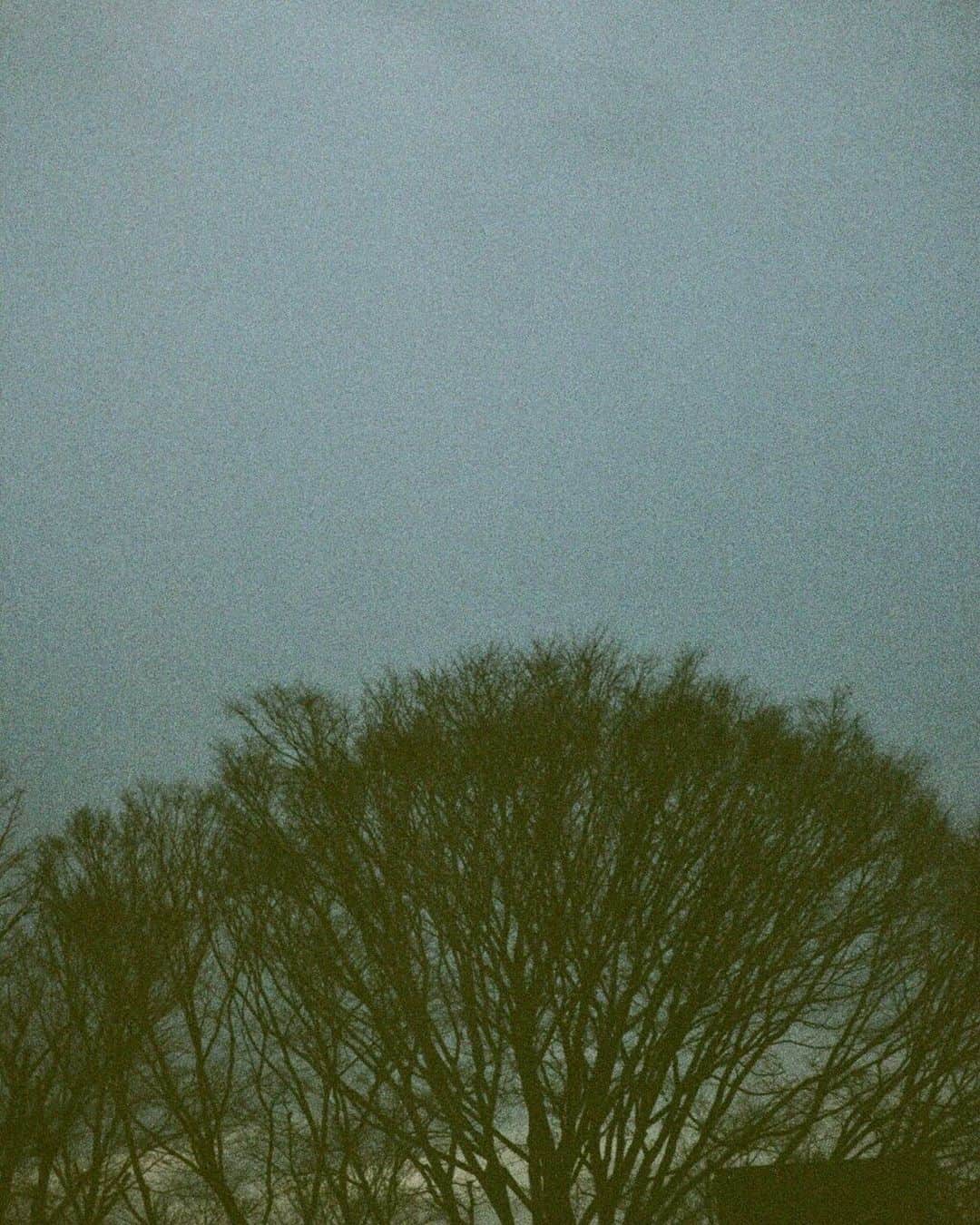 仁村紗和のインスタグラム：「梅雨、、 To you 🙊」