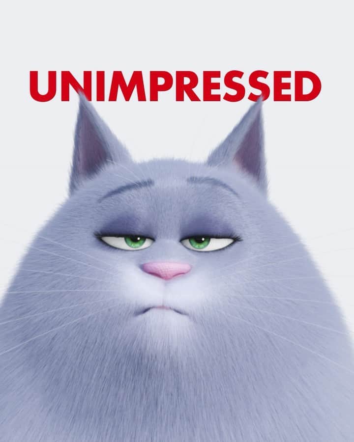 レイク・ベルのインスタグラム：「⭐️N O W ⭐️P L A Y I N G ⭐️ !!! @secretlifeofpets BRING YOUR MOM/KID/FRIEND/GRAMMIE/POPS/DAD/MAMIE/AUNTIE/TIO/EVERYONE! #goodvibes #catsforpresident」