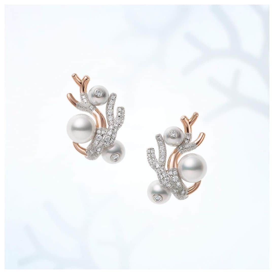 Mikimotoさんのインスタグラム写真 - (MikimotoInstagram)「Paying homage to the sea and its beauty. Intricate designs of Mikimoto Coral Collection celebrate Pearl Month. #mikimoto #mikimotopearls #highjewelry #MikimotoPearlMonth」6月7日 14時14分 - official_mikimoto