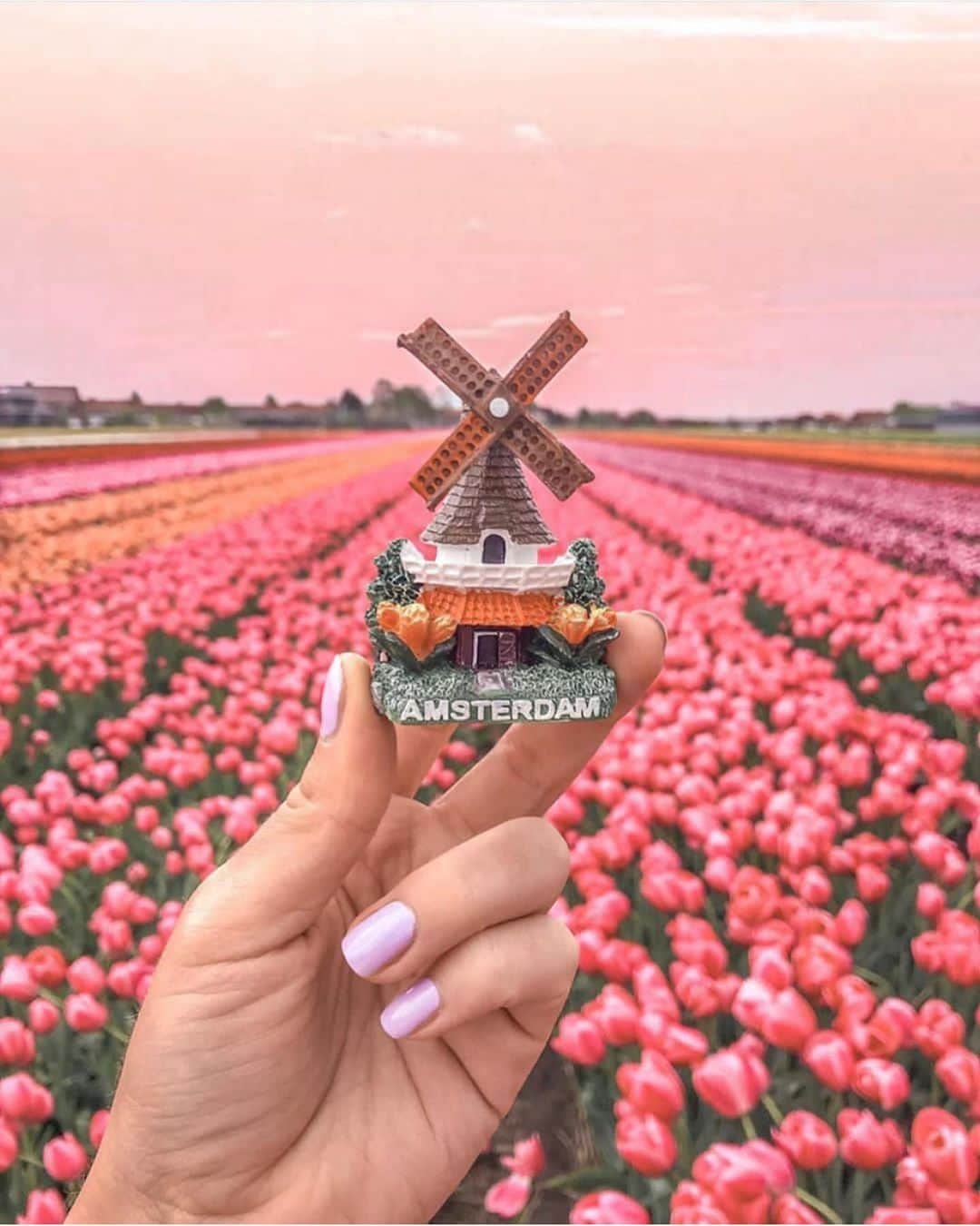 Wonderful Placesさんのインスタグラム写真 - (Wonderful PlacesInstagram)「Netherlands ✨💖💖💖✨ . Picture by ✨✨@like.lexy✨✨ #wonderful_places for a feature 💖」6月7日 14時30分 - wonderful_places