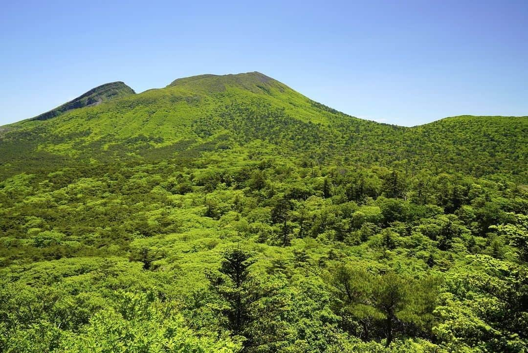 日本の国立公園さんのインスタグラム写真 - (日本の国立公園Instagram)「Follow: @nationalpark_japan⠀ Location: Ebino plateau Mt.Ebino-dake/えびの高原えびの市⠀ .⠀ Ebino plateau is now in the season of fresh green. From the top of the 1,292m (4239ft) high Mt. Ebino-dake, you can view Mt. Karakuni-dake, the highest peak of the Kirishima Mountain Range. These young green leaves on the mountain side of Mt. Karakuni-dake  belong to Japanese beech trees and Mizunara (Quercus crispula) trees. It's surprising to see Japanese beech trees on Mt. Kirishima Mountain Range in warm southern Kyushu, for they usually favor cool and humid environments. ⠀ .⠀ On our Instagram, we will also share wonderful photos of National Parks of Japan posted on Instagram with the tag #nationalparksjp. We look forward to your participation!⠀ .⠀ #KirishimaKinkowanNationalPark #霧島錦江湾国立公園 #宮崎県 #鹿児島県⠀ .⠀ #NationalPark #nationalparks #nature #findyourpark #instafollow #japan #landscape #landscape_lovers #ourplanetdaily #landscapephotography #hiking #outdoors #traveling #travel #explore #visitjapanjp #日本 #國家公園 #일본 #국립공원 #国立公園」6月7日 15時00分 - nationalpark_japan