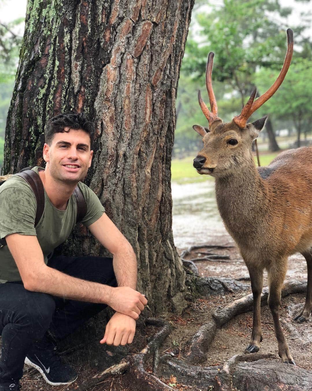 ハビエル・ラジャのインスタグラム：「Nara, the deer’s paradise」