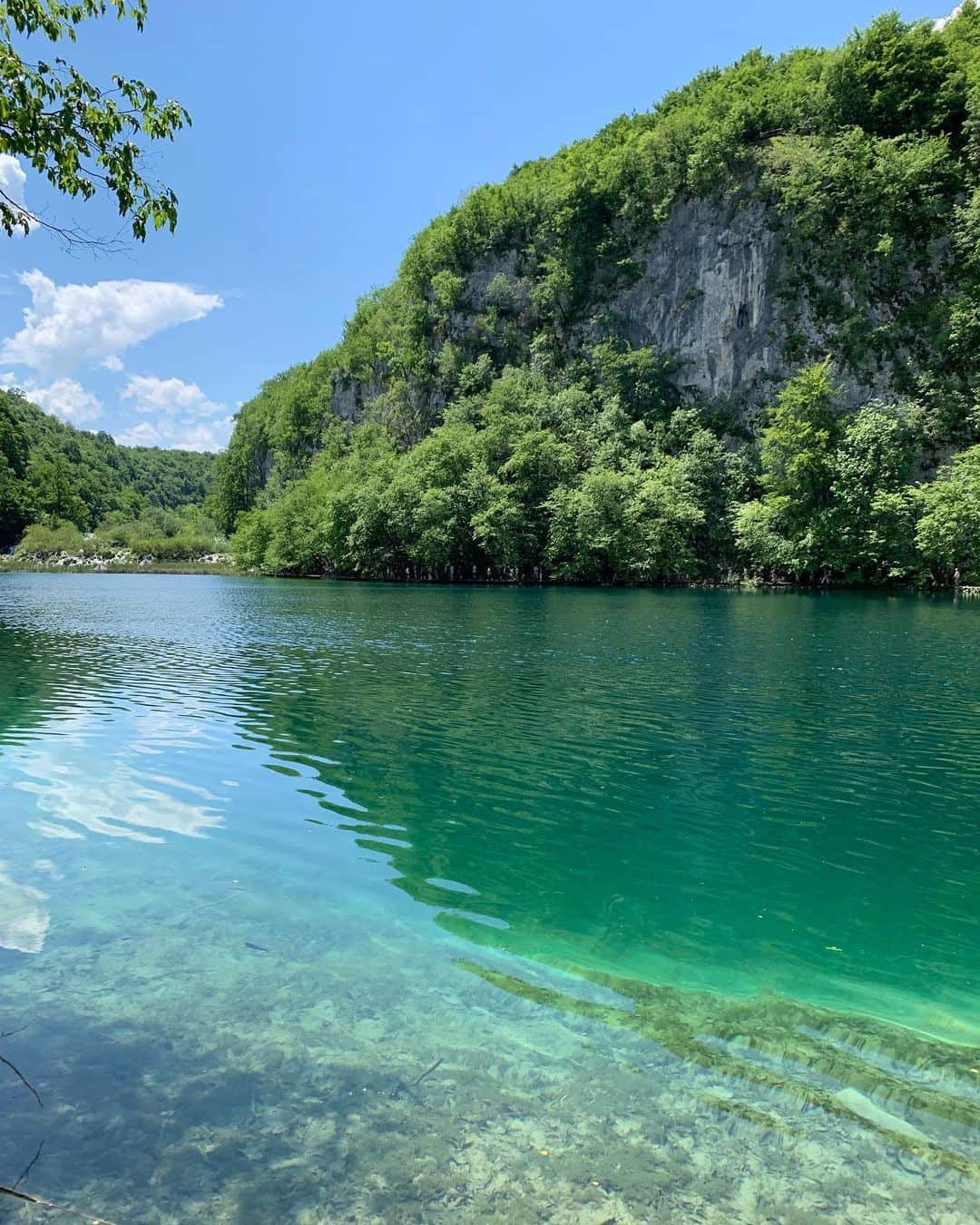 植野有砂さんのインスタグラム写真 - (植野有砂Instagram)「After 2 years we came back to our favorite city #Istria #croatia @pearypie @notep ❤️ this is not in istria but you can’t miss this if you’re in Croatia !! 2年ぶりに同じメンバーでクロアチアに来ました💓またイストリアという小さな町にいるんだけどその前に有名なプリトヴィツェという公園に来たよ！壮大すぎてクロアチアにきたら絶対訪れてほしい🥺💓野生の動物もいっぱいいたー！全部ストーリーハイライトしてるので是非みてね🥺💓 #plitvicelakes #shareistria #プリトヴィツェ #クロアチア」6月7日 15時46分 - alisaueno