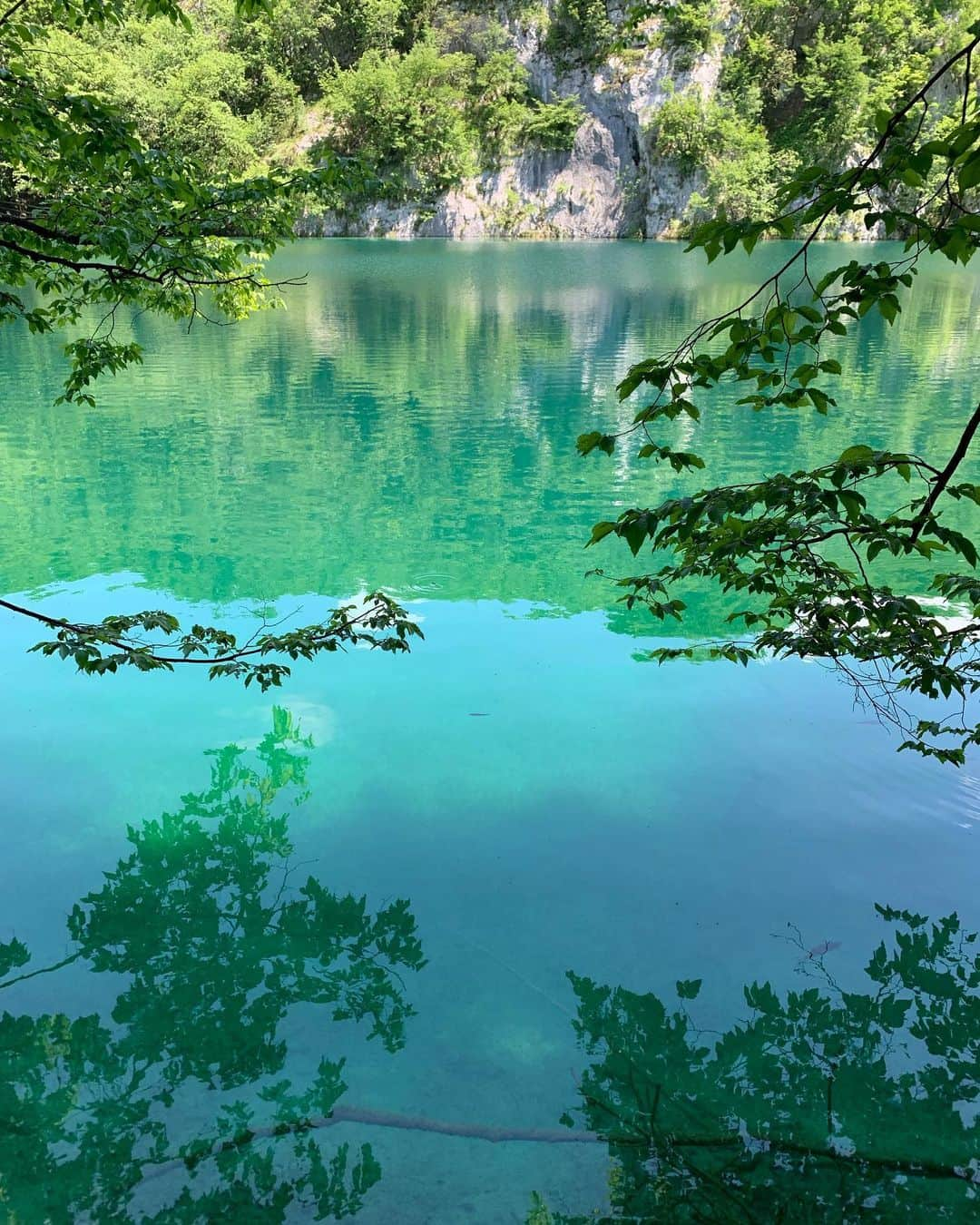 植野有砂さんのインスタグラム写真 - (植野有砂Instagram)「After 2 years we came back to our favorite city #Istria #croatia @pearypie @notep ❤️ this is not in istria but you can’t miss this if you’re in Croatia !! 2年ぶりに同じメンバーでクロアチアに来ました💓またイストリアという小さな町にいるんだけどその前に有名なプリトヴィツェという公園に来たよ！壮大すぎてクロアチアにきたら絶対訪れてほしい🥺💓野生の動物もいっぱいいたー！全部ストーリーハイライトしてるので是非みてね🥺💓 #plitvicelakes #shareistria #プリトヴィツェ #クロアチア」6月7日 15時46分 - alisaueno