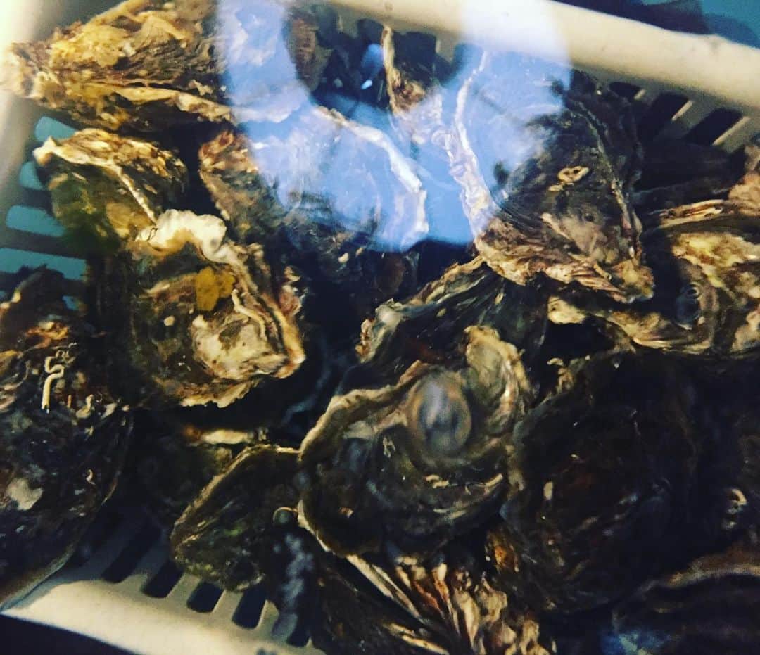 うまかもん九州料理 九州魂天王寺店のグルメインスタ