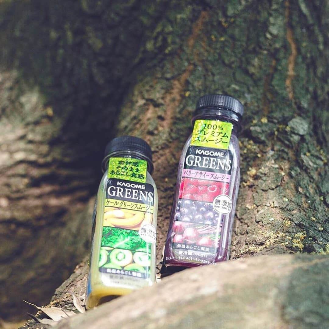 KAGOME GREENSのインスタグラム