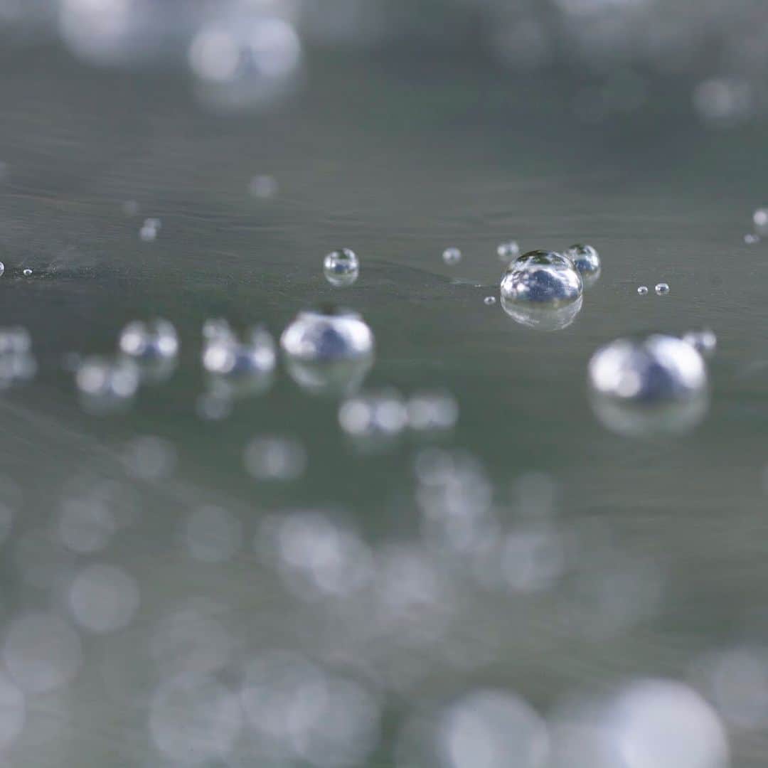 shiroさんのインスタグラム写真 - (shiroInstagram)「Happy rainy days! #rainyseason #梅雨」6月7日 16時54分 - shiro_japan