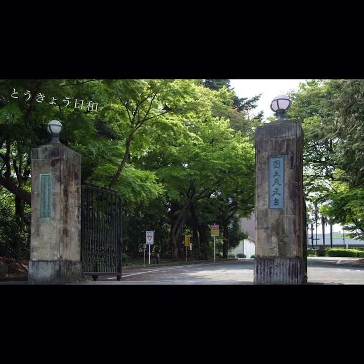 東京都庁広報課のグルメインスタ