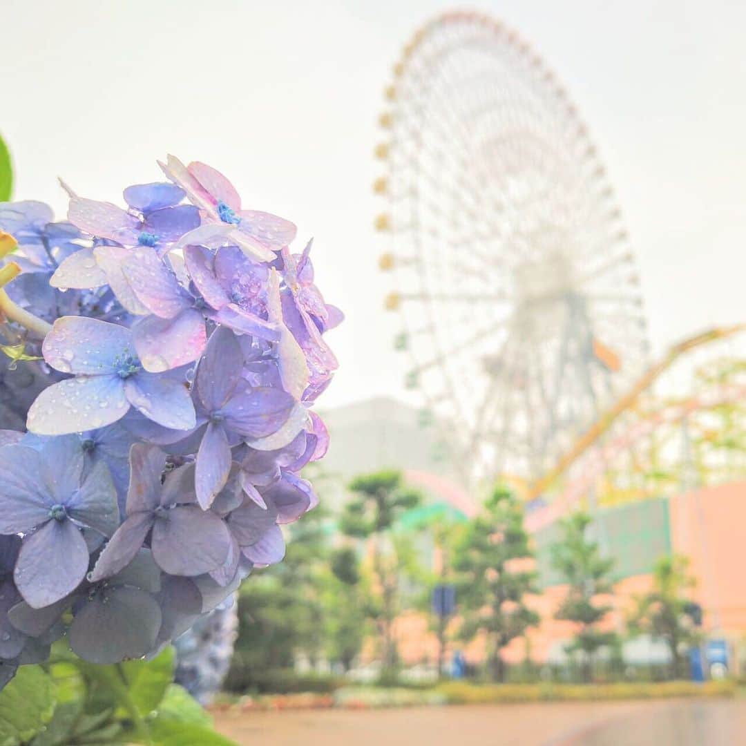 アニヴェルセル みなとみらい横浜 公式さんのインスタグラム写真 - (アニヴェルセル みなとみらい横浜 公式Instagram)「. 梅雨入りしましたね* . アニヴェルセルの入り口にも可愛らしい あじさいが咲いてきました！ . 本日は雨が強くなるみたいなので、 皆さま気をつけてお帰り下さいね。 . #ウェディング #ウエディング #結婚式 #アニヴェルセル #アニヴェルセルみなとみらい横浜 #アニヴェルセルみなとみらい #みなとみらい #桜木町 #汽車道 #みなとみらい散歩 #ブライダルフェア #ウェディングフェア #シーン #プロポーズ #プレ花嫁デビュー #アニ嫁 #プレ花嫁 #marryxoxo #日本中のアニ嫁さんと繋がりたい #日本中のプレ花嫁さんと繋がりたい #恋人の聖地 #梅雨入り #雨 #6月」6月7日 17時19分 - anniversaire_minatomirai