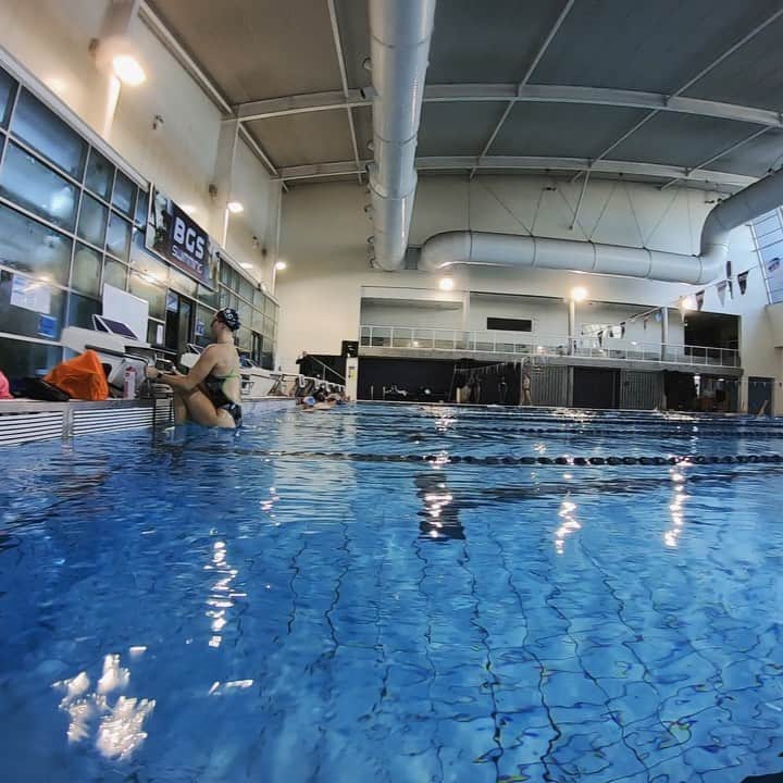 エミリー・シーボームのインスタグラム：「Diving into the last day!  Comment if you are heading out to watch the swimming!  #swimming #backstroke #dive #worldchamptrials」