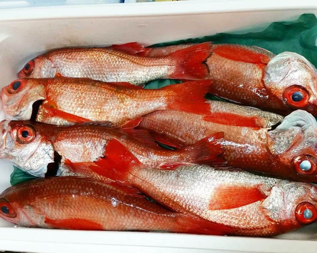 寿司居酒屋 番屋のグルメインスタ