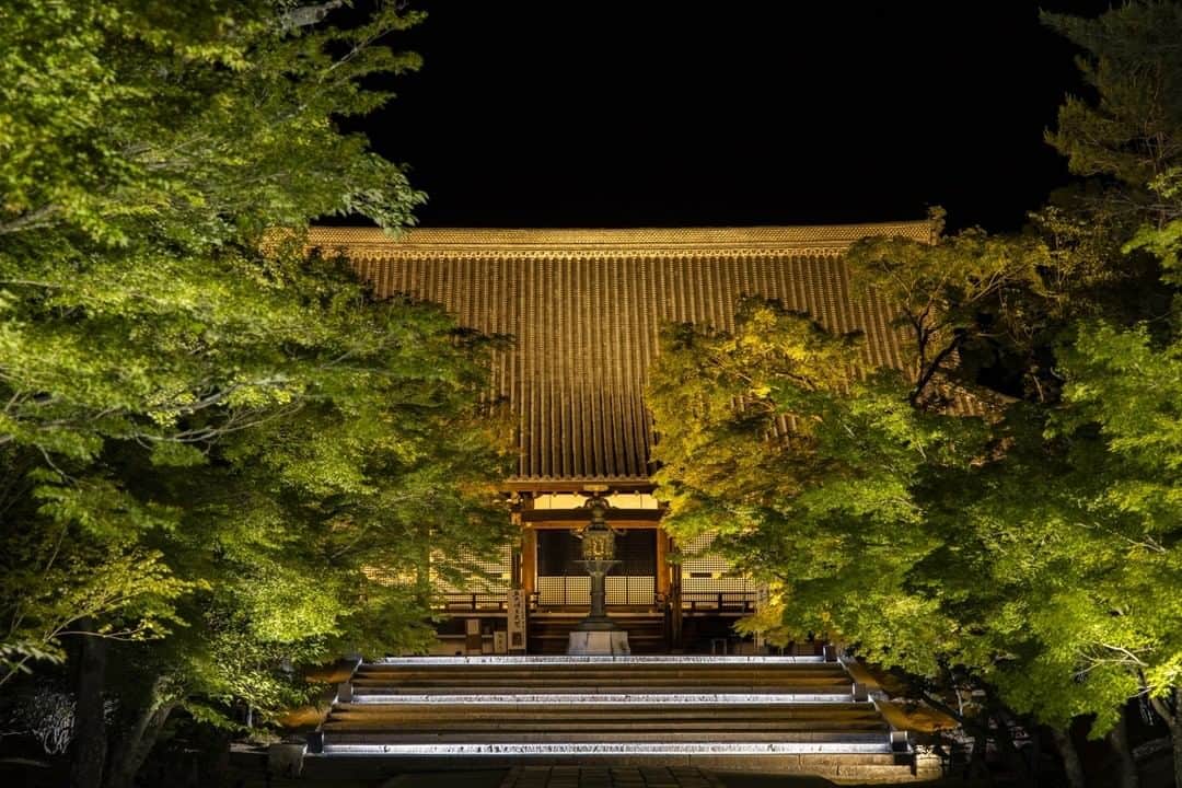Short Tripさんのインスタグラム写真 - (Short TripInstagram)「Short Tripを運営している東京カメラ部は、観光公害対策、文化財保護の両立を目指し「仁和寺の風景を未来に残すプロジェクト」を発足！京都仁和寺開催「青もみじライトアップ」をプロデュース⠀ ⠀ ▶詳細は、東京カメラ部アカウント（ @tokyocameraclub ）のハイライト内のURLから⠀ ⠀ 近年、一部の撮影者による周囲への配慮が不足した撮影行為などが原因となって写真撮影が禁止・制限される傾向がみられます。また、SNSで人気を博した撮影地に多くの観光客が集中しすぎることで住民の生活に支障をきたすケースも生まれています。⠀ ⠀ 東京カメラ部は、自治体などと協同で、SNS時代に生まれる「観光公害」や「文化財保護」問題への解決策として「写真撮影マナー」、「撮影環境の整備」に取り組んでいます。⠀ そしてこの度、世界遺産でもある京都仁和寺と「仁和寺の風景を未来に残すプロジェクト」を発足。その第一弾として京都仁和寺の「青もみじライトアップ」を令和元年6月6日から6月16日に開催いたします。⠀ ⠀ 仁和寺千年の歴史で初めての取り組みとなるこの「青もみじライトアップ」では、文化財保護や観光公害を生み出さないことを前提に写真を撮りやすい明るさやライトの位置などを工夫した環境設計などを行っています。三脚の使用も可能※、また、仁和寺僧侶の撮影モデルとしての協力が決定しています。⠀ ぜひこの機会に、夜の京都仁和寺で特別にライトアップされた幻想的な青もみじの撮影にご参加ください。<PR>⠀ ⠀ ▶青もみじライトアップイベントについての詳細は、東京カメラ部アカウント（ @tokyocameraclub ）のハイライト内のURLから⠀ ⠀ ※令和元年秋には紅葉ライトアップを予定⠀ ※１分程度で場所の交代をしていただきます。また、状況に応じて時間を変更することがございますので、その場合は係員の指示に従ってください⠀ ※入場にはチケットが必要となります（オンライン販売に加えて当日現地での販売もございます）⠀ ⠀ ※作品：東京カメラ部10選 柄木 孝志さん（ @karakky0918 ）⠀ ※撮影機材：Canon EOS R +RF24-105mm F4 L IS USM」6月7日 17時30分 - photo_shorttrip