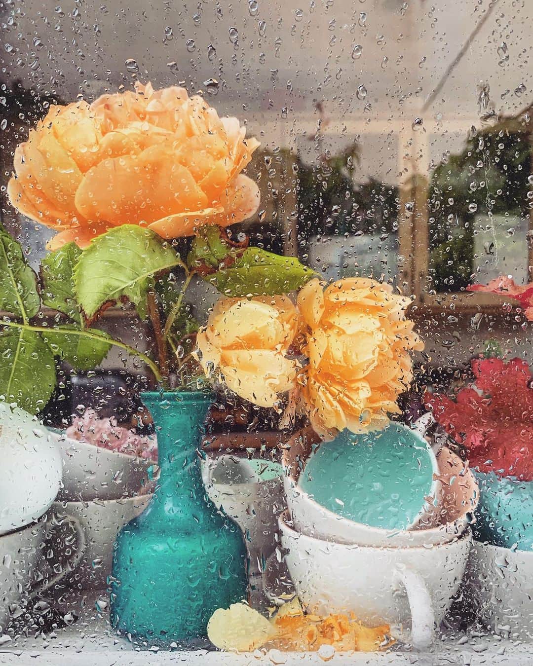 Tea and sittingのインスタグラム：「🌧...🧡🌿」