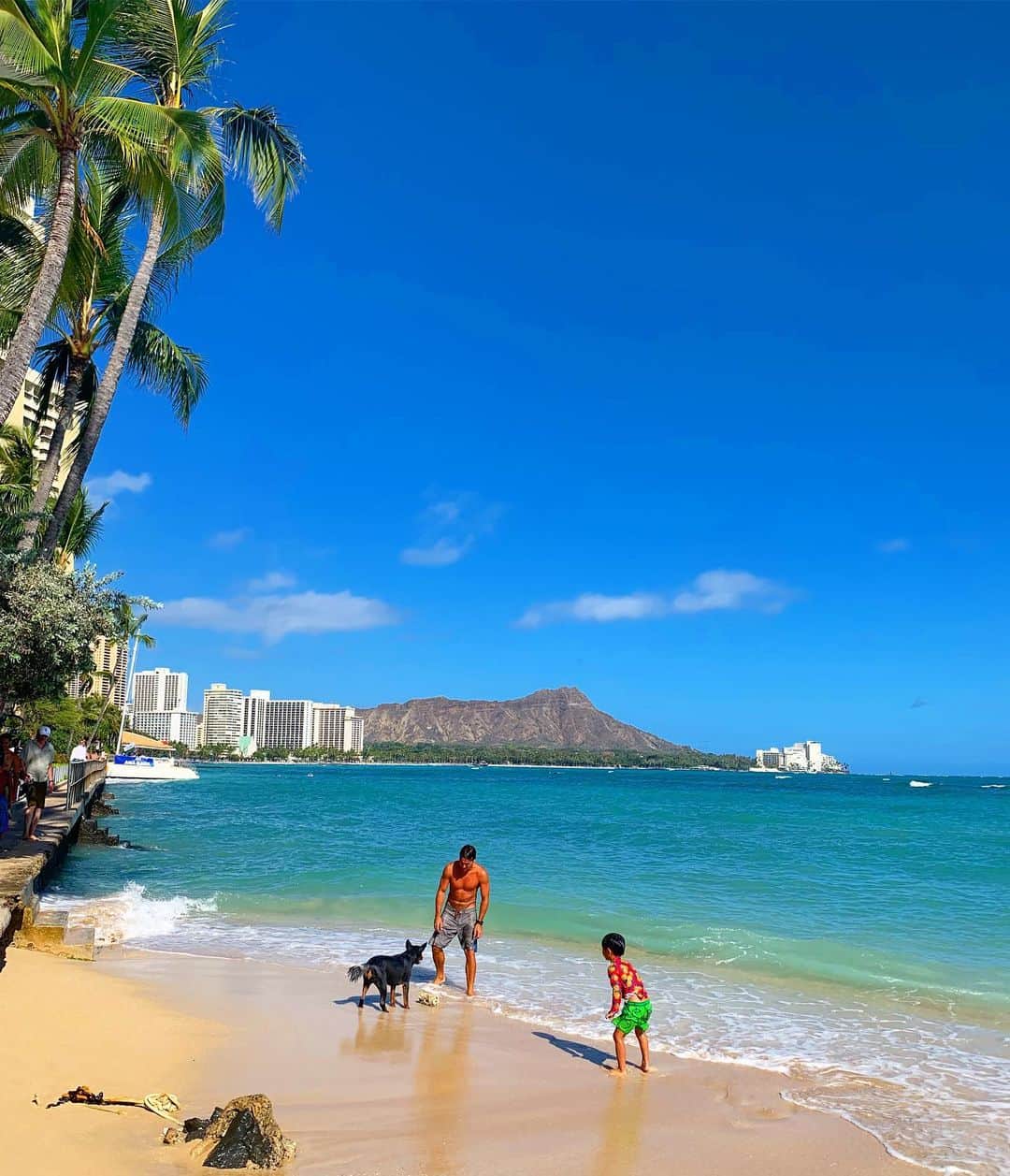 大山加奈さんのインスタグラム写真 - (大山加奈Instagram)「. . 波打ち際で楽しそうに あそぶわんこに癒された😍 . . 波ざっぶーんってかぶっても おかまいなし‼︎ . . あんな風にあそべたら 楽しいだろうなーーーっ‼︎‼︎ . . だいずくんには厳しいか😅 . . #HAWAII #ハワイ #Honolulu #ワイキキビーチ #カヴェヘヴェへ #beach #waikikibeach #kawehewehe #hawaiistagram #ハワイ旅  #hawaiivacation #hawaiiwedding」6月7日 18時02分 - kanaoyama0619