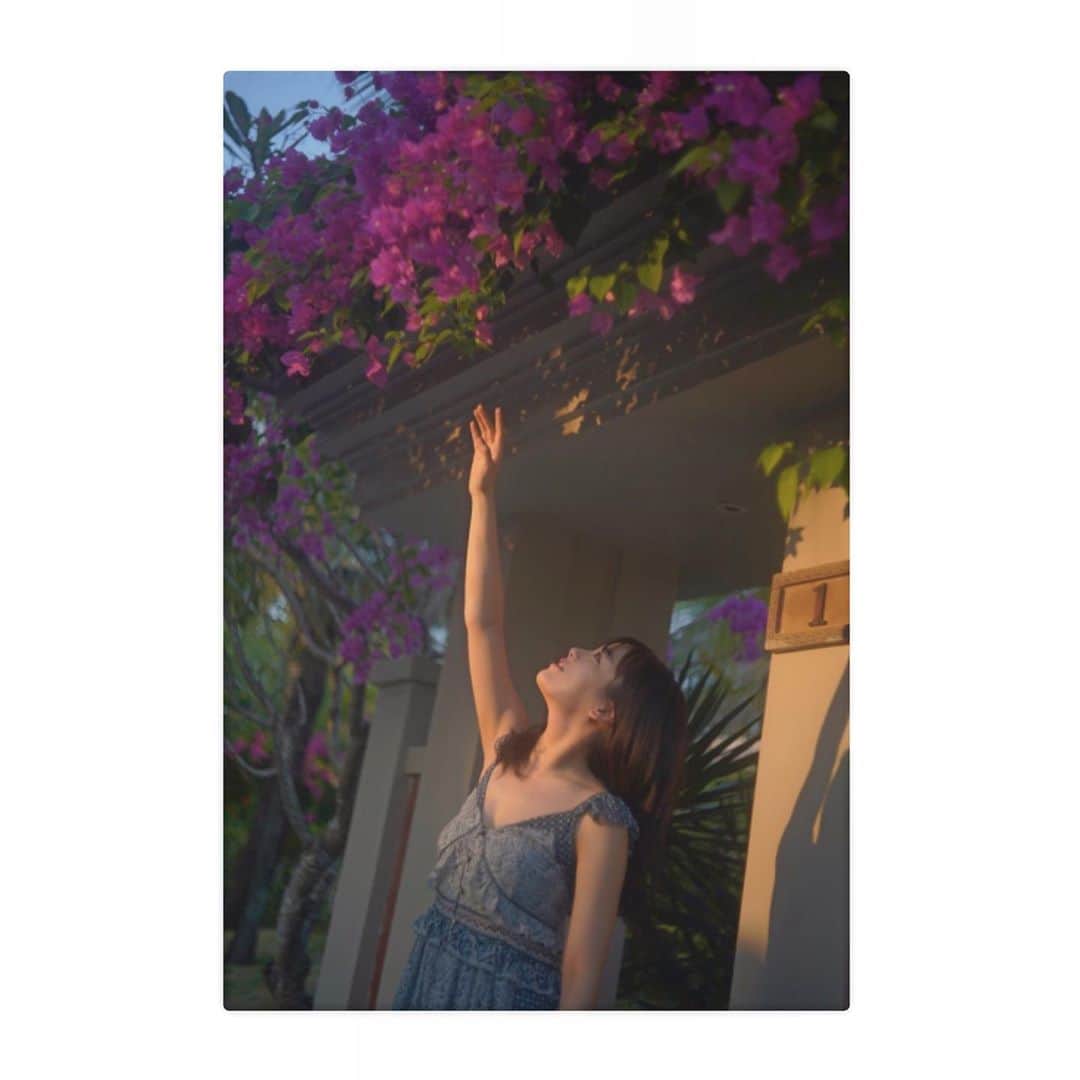 伊原六花さんのインスタグラム写真 伊原六花instagram Twitter始めました やった 歳の伊原 色々呟きます よろしくお願いします Rikka Iharaです Twitter始めました 6月7日 17時59分 Rikka Ihara Official