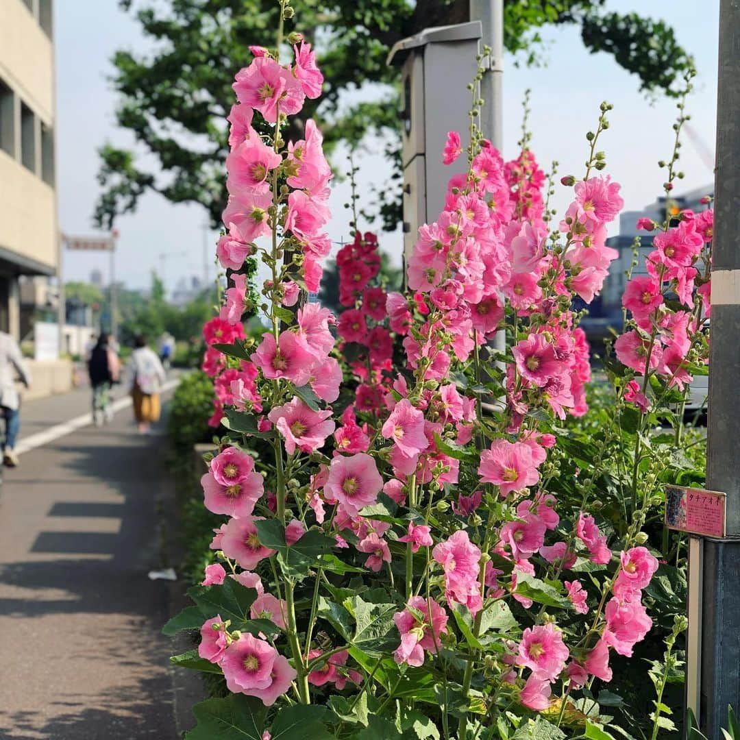 岡田育のインスタグラム