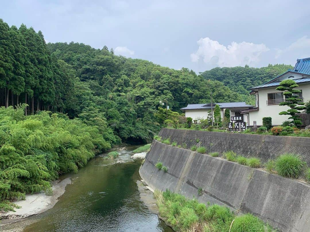 一三さんのインスタグラム写真 - (一三Instagram)「自然て良いね。  木こりになりたい。  #自然 #ナチュラル #natural #nature #木 #ツリー #tree」6月22日 12時32分 - ichizou.co.jp