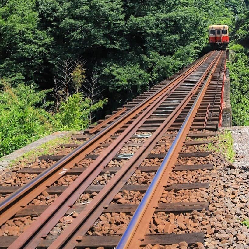 あなたのLOVE CHIBA教えてキャンペーンさんのインスタグラム写真 - (あなたのLOVE CHIBA教えてキャンペーンInstagram)「小湊鉄道に乗って房総の里山旅に出かけたくなりますね📸🛤🚃 房総里山トロッコ列車も運行中ですよ😊 ・ 【らぶちばseason8: @hirohiro_87 さんの投稿】 . . 千葉県の魅力あふれるラブちば写真を投稿して、プレゼントをGETしよう！！ . 応募方法は、Instagram応募とWebフォーム応募の２種類。 Instagramの応募では、毎月3名様に「チバザビーフ（みやざわ和牛）」をプレゼント。　※写真はイメージです そのほかのプレゼントはプロフィール欄のリンクから公式サイトでチェック！ . ▼Instagram投稿方法▼ ①公式Instagramアカウント『@love.love.chiba』をフォロー ②２つのハッシュタグをつけて、千葉の魅力あふれる写真をシェア 　#らぶちば8に応募 　#千葉　または　#chiba . （例） 館山市の〇〇海岸の景色がとってもきれい！ 夕暮れどきもおすすめだよ♪ #らぶちば8に応募　#千葉 . Season8でも、みなさんのステキな投稿写真をアップしてきますのでお楽しみに。 たくさんのご応募お待ちしています！ . .  #一眼レフ練習中 #ファインダー越しの私の世界 #カメラ好きな人と繋がりたい #写真撮ってる人と繋がりたい #カメラのキタムラ #キタムラ写真投稿 #japan_photo_now #bestphoto_japan #photo_life_best #icu_japan #daily_photo_jpn #lovers_nippon_ #whim_life #vivid_impact #retro_japan_ #東京カメラ部 #千葉カメラ部 #canon #canonphotography #my_eos_photo #カメラブ #camelove #房総 #田舎の風景 #小湊鉄道 #ローカル線 #千葉 #カメラ女子」6月22日 13時08分 - love.love.chiba