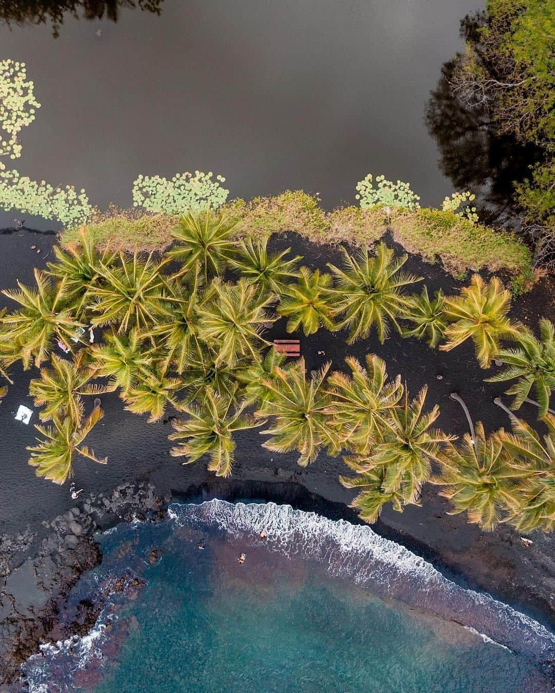 ハワイアン航空さんのインスタグラム写真 - (ハワイアン航空Instagram)「#Hawaii boasts a variety of colored sand beaches including gold, green and red. But #HawaiiIsland is best known for its black sand beaches, thanks to the constant volcanic activity on the island.  Located on the southeastern Kaʻū coast is #PunaluuBlackSandBeach, arguably one of the most famous black sand beaches in the state due to how easily accessible the beach is. Do you know how black sand is made? 📍 Punalu‘u Black Sand Beach 📷 @wanderlustyleblog ⠀⠀⠀⠀⠀⠀⠀⠀⠀ . . . #ExploreHawaii #GlimpseofHawaii #NakedHawaii #HawaiiUnchained #AlohaOutdoors #LetHawaiiHappen #Hawaii」6月22日 5時00分 - hawaiianairlines