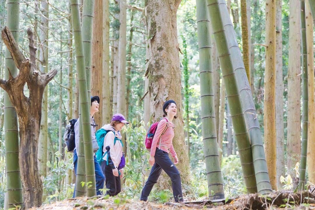 仲川希良のインスタグラム