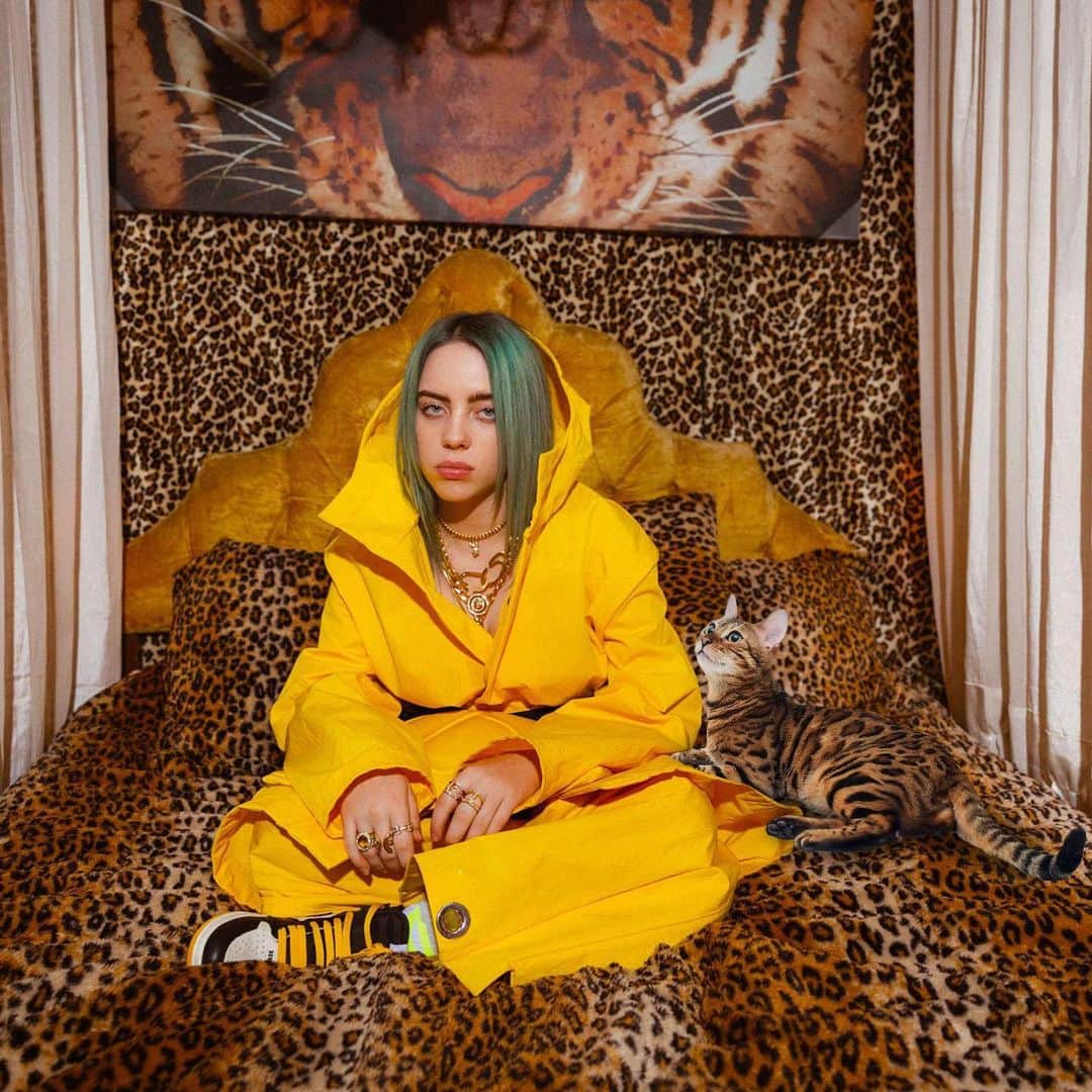 Celeb Bengal Cat · Simbaのインスタグラム：「Did you Find Simba? 🐯 Billie Eilish NME Big Read cover shoot. If you 🖤💛 my collage, click link in BIO」