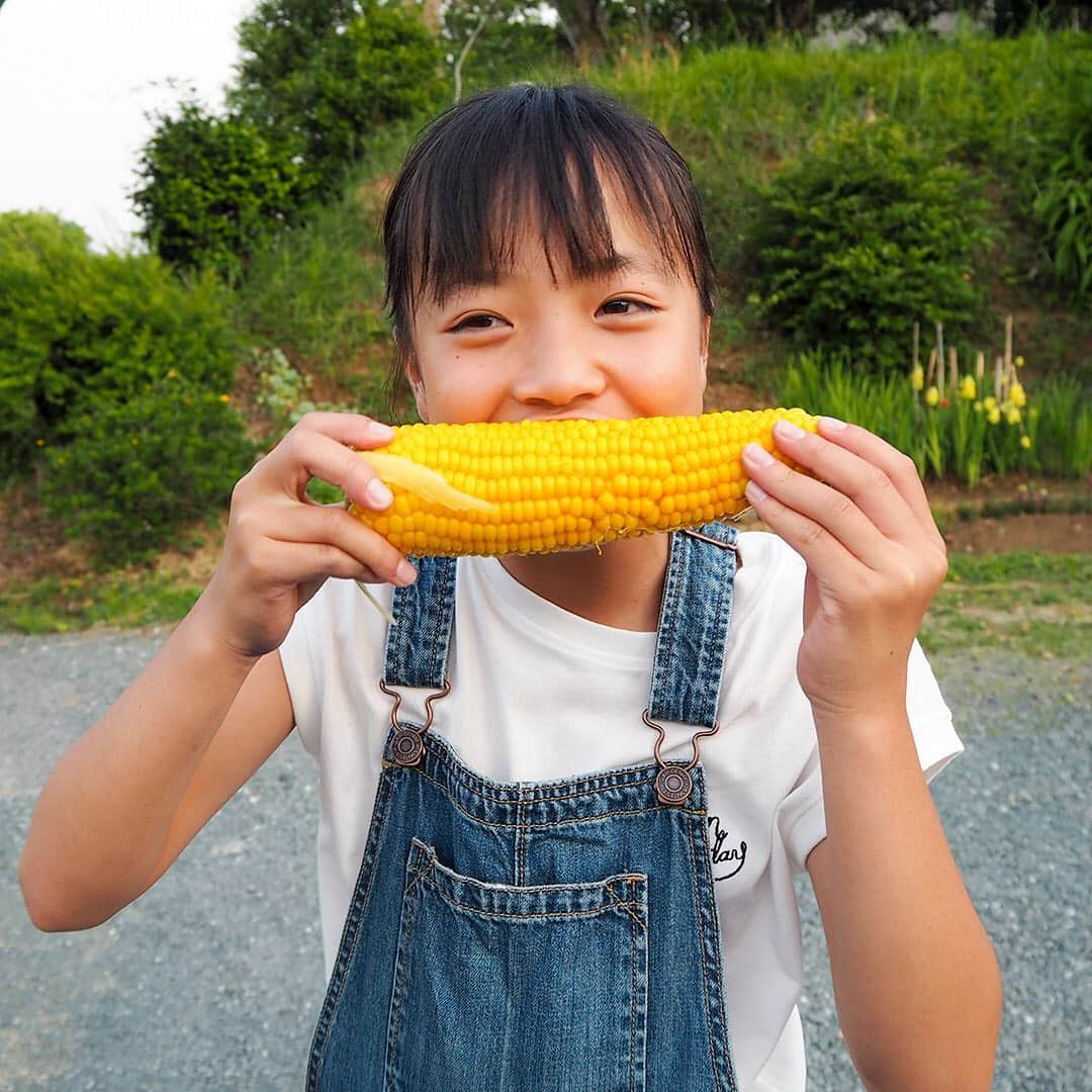 愛知県田原市さんのインスタグラム写真 - (愛知県田原市Instagram)「It will be smile when it is delicious. 顔見れば分かるよね！  #トウモロコシ#かぶりつき#笑顔#作ってる人の笑顔が食べる人の笑顔につながってるね  #たはら暮らし * #渥美半島#田原市#田原#伊良湖岬#伊良湖#赤羽根 #tahara#irago#akabane #サーフィン#surfing#田舎暮らし#日々の暮らし#休日の過ごし方#スローライフ#instagramjaran#igersjp」6月22日 7時37分 - tahara_kurashi