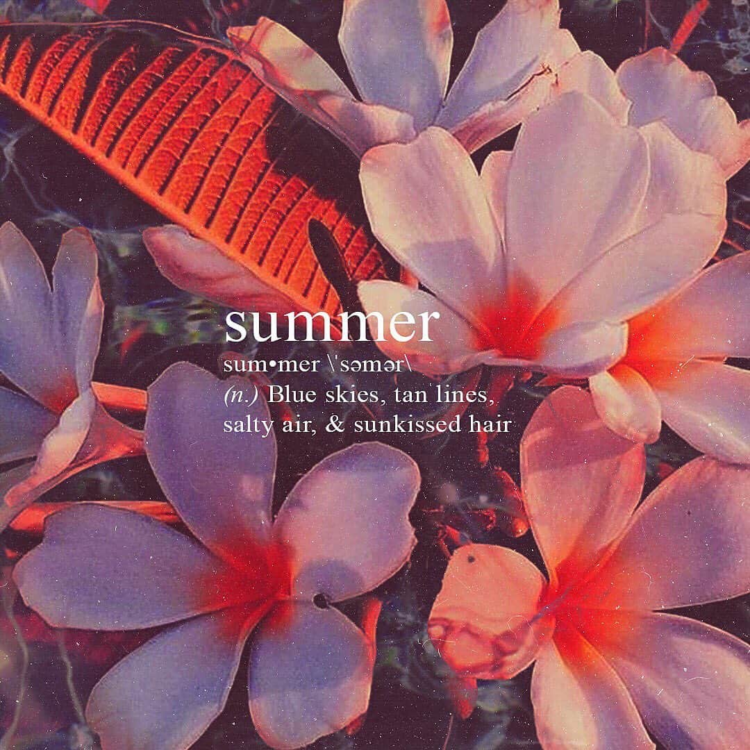 ブルーライフのインスタグラム：「happy first day of summer 🌸 @zmccrum」