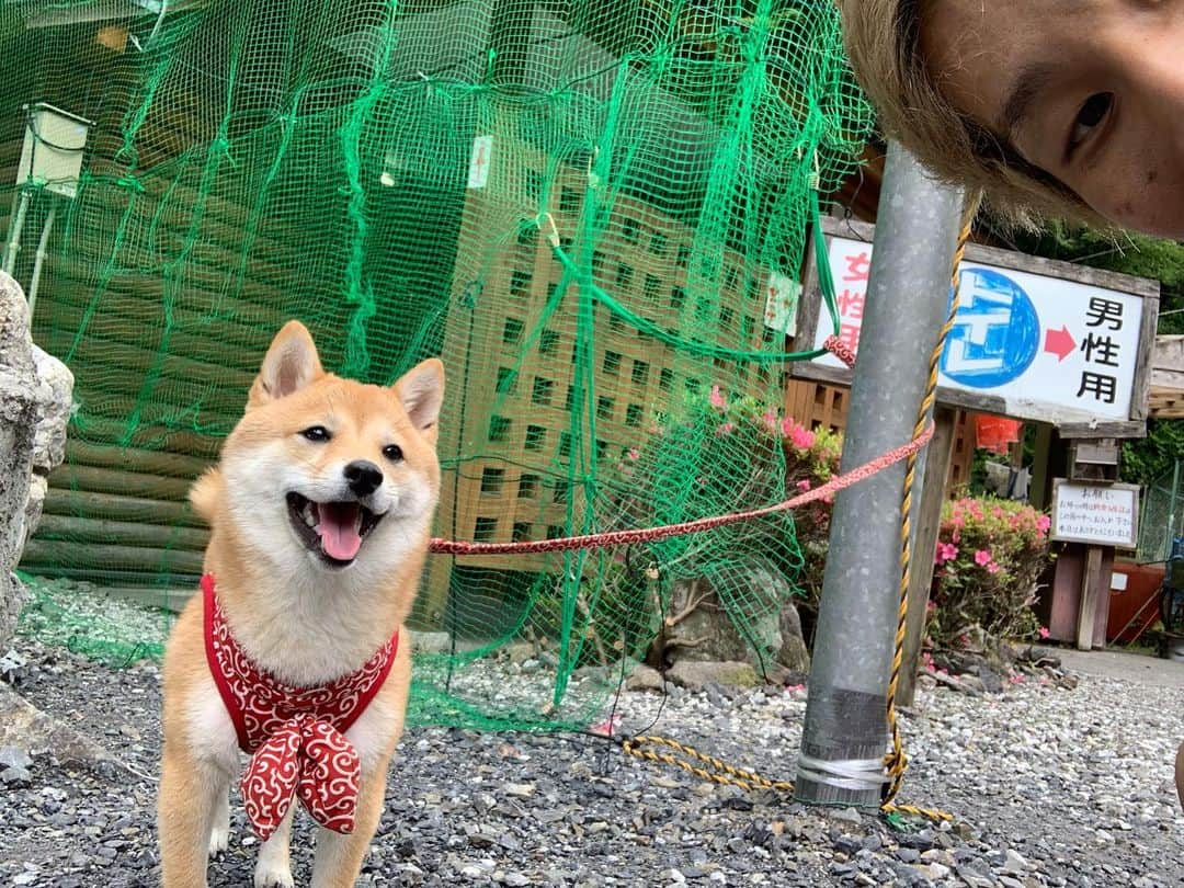 イッシーさんのインスタグラム写真 - (イッシーInstagram)「インスタ映えってこうゆうことですよね？ ‪ この前は山登ってきました^_^‬ ‪近々動画出ると思います！ロードバイクです！‬ ‪こちらもお楽しみに！！‬ ‪スポーツ最高！‬ ‪#roadbike #ロードバイク #bianchi ‬#写真が溜まっていく一方」6月22日 14時12分 - mikankun141