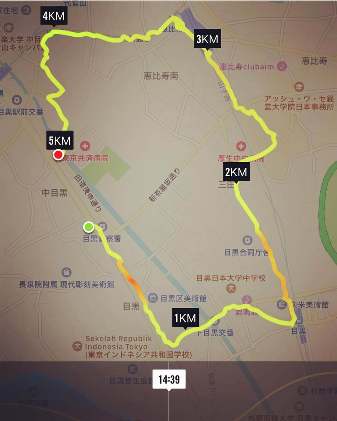 橋本塁さんのインスタグラム写真 - (橋本塁Instagram)「おはようございます！ 朝ラン終了！ゆっくり5km！今日はこれからとある撮影からのZepp DivercityでのTHE BAWDIESツアーライブ撮影！ #サウシュー #stingrun #run #running  #adidas #朝ラン #ランニング #ラン #urbanrunning #adidasrunning #adidasultraboost #streetrunning #アディダス #thebawdies  https://www.instagram.com/tv/BxtWD0jh0kZ/?igshid=1rn1b0j75451f」6月22日 8時51分 - ruihashimoto