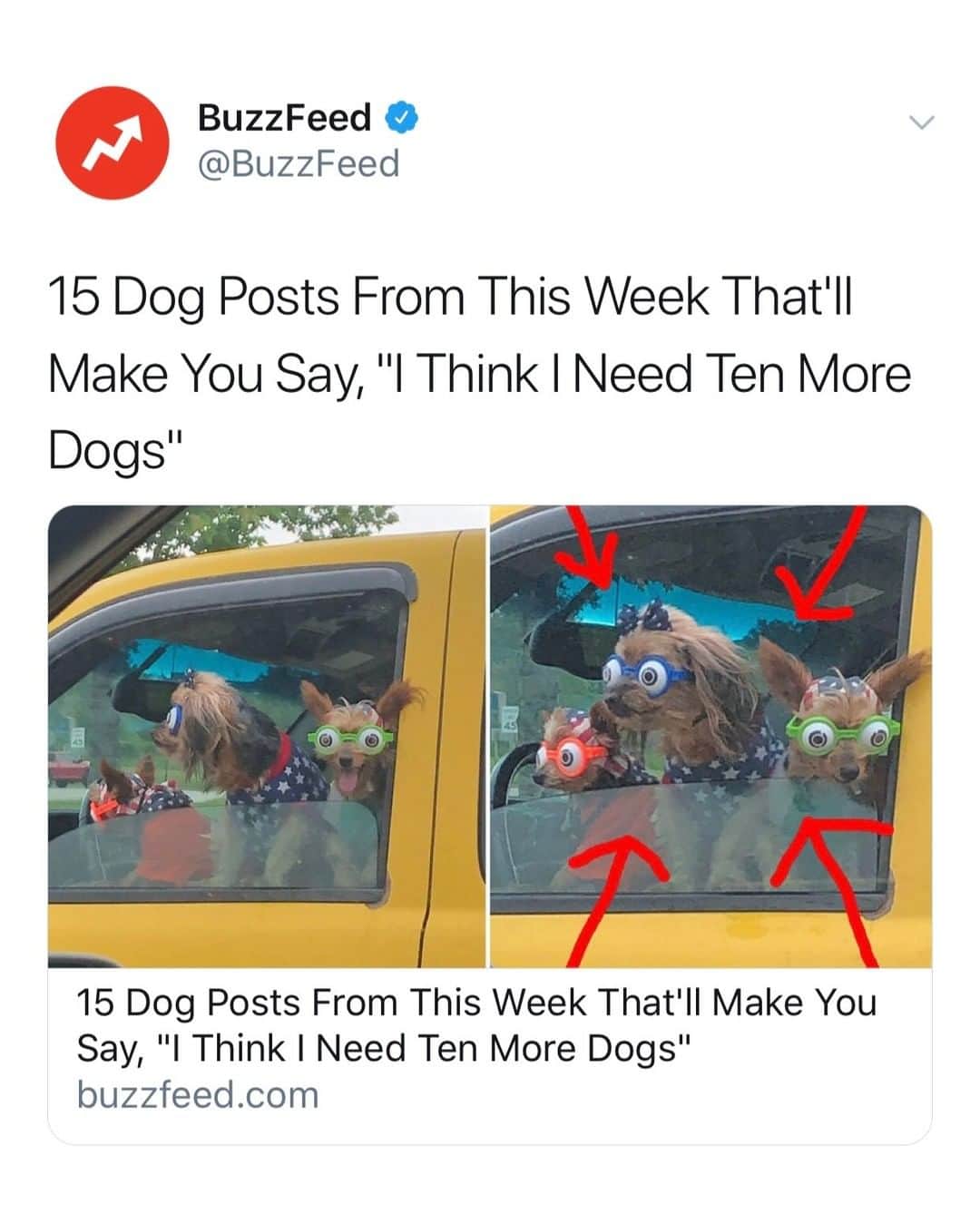 BuzzFeedさんのインスタグラム写真 - (BuzzFeedInstagram)「It's been a week. Lucky for you, we've got dog posts 🐶 Link in bio 😍」6月22日 9時01分 - buzzfeed