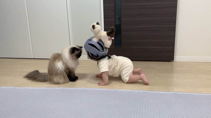 plumeのインスタグラム