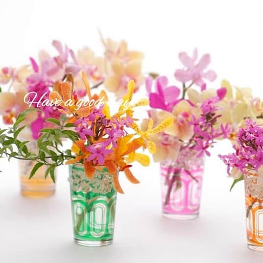 雑誌『花時間』さんのインスタグラム写真 - (雑誌『花時間』Instagram)「おはようございます。本日は梅雨時スペシャル！  そう、明るく、きれいな色の花を飾ると、気持ちまでぱあっと晴れ☀️になりますよね。このアレンジで使ったお花は、モカラと小さなコチョウラン、エピデンドラム。きれい色が自慢のランの切り花たちです✌️ いけ方は、切り分けて✂️いけるだけ。たったそれだけですが、ランは花びらの間に隙間があるため、た〜っぷりの透明感で楽しめるんです。色つきグラスは中東のもの。「グラス 中東」で検索すると、花にもぴったりなグラスが見つかりますよー。では、夏至の今日は、元気に活動して昼の時間をフルに楽しみましょう！皆さま、よーい週末を🌿 by ピーターパン  花 @岡村有紀（アトリエ ネージュ） 写真 @落合里美  #hana #flower #flowers #flowerslovers #flowerstagram #flowerarrangement  #花時間 #花時間2019  #花好き #花藝 #花好きな人と繋がりたい #花が好きな人と繋がりたい #花のある生活 #花のある暮らし #きれい色 #ランの花 #モカラ #コチョウラン #エピデンドラム #グラスアレンジ #日々の花 #花を飾る #夏が来た #カラフルな花 #orchid #botanicallife  #花屋さんへ行こう」6月22日 9時24分 - hanajikan_magazine