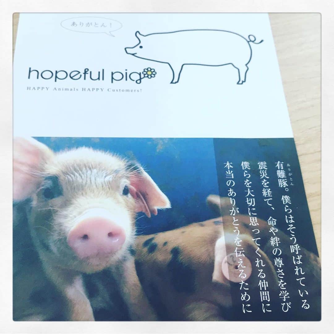 北山陽一のインスタグラム：「これです。」