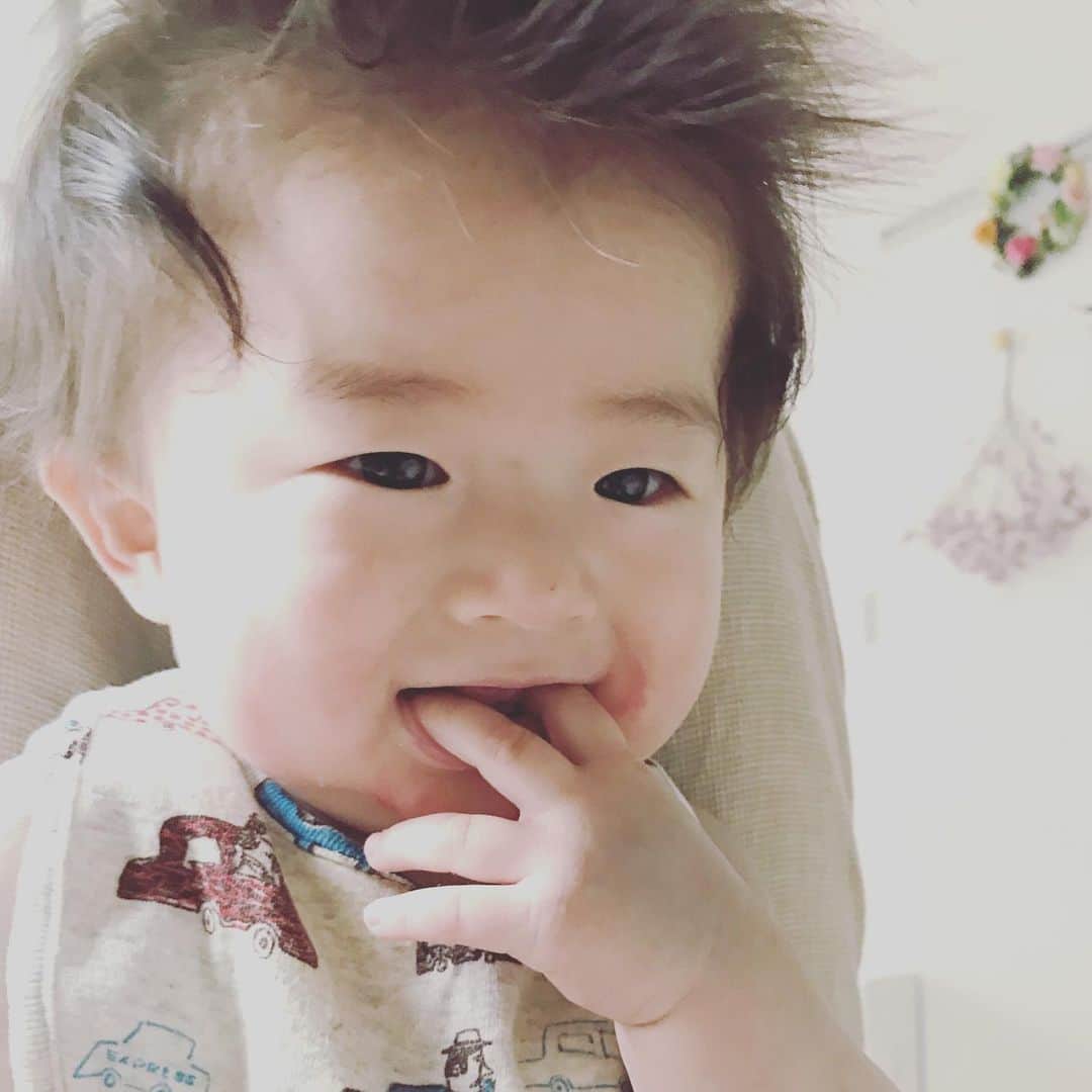 sioneのインスタグラム：「髪の毛ほわほわー。だいぶ伸びてきたな。今日はトリミングの日なので前住んでたとこまでお出かけ。」