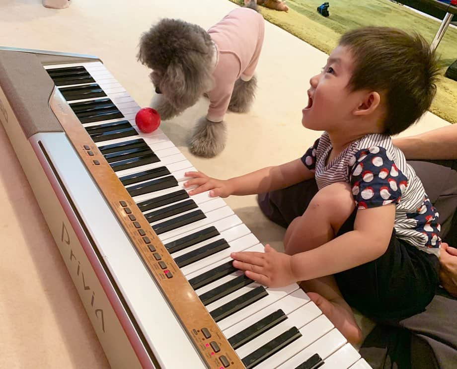 桜井未来さんのインスタグラム写真 - (桜井未来Instagram)「お婆ちゃん来て、ピアノ🎹😊💓 ママは、猫踏んじゃったしか弾けないからね😂💦（笑） ・ ・ ・ #ピアノ #piano #音楽  #ママ #男の子ママ #子育て #成長記録 #baby #ママ友募集 #赤ちゃんのいる生活 #ママサークル #ママイベント #ママ会 #都内ママ #ベビスタグラム #mamagirl #ベビフル #コドモダカラ #コドモノ #ママリ #親バカ部 #新米ママ東京部」6月22日 12時04分 - miki.sakurai0214