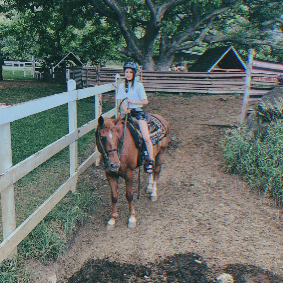 寒川綾奈さんのインスタグラム写真 - (寒川綾奈Instagram)「初乗馬。 事前に馬さんに草食べさせないでってアナウンスあって、食べさせない方法とか教わってたんだけど、私の馬だけ結局20回くらい草食べてた。 いきなり走りだすし、でも歩きはやる気ないし、めっちゃ大変な子だったけどむしろ愛しくなってた笑笑 笑ったのが、先生みたいなボスみたいな調教師みたいな人がいる時はちゃんと歩くんだけど、その人が他の人見に行った途端に歩く速度遅くなって止まって草食べに行くのね笑 人間と一緒やんてww 乗せてくれてありがとうね🐴  #乗馬 #乗馬ガール #horseriding #ハワイ #Hawaii」6月22日 12時10分 - sogawaayana