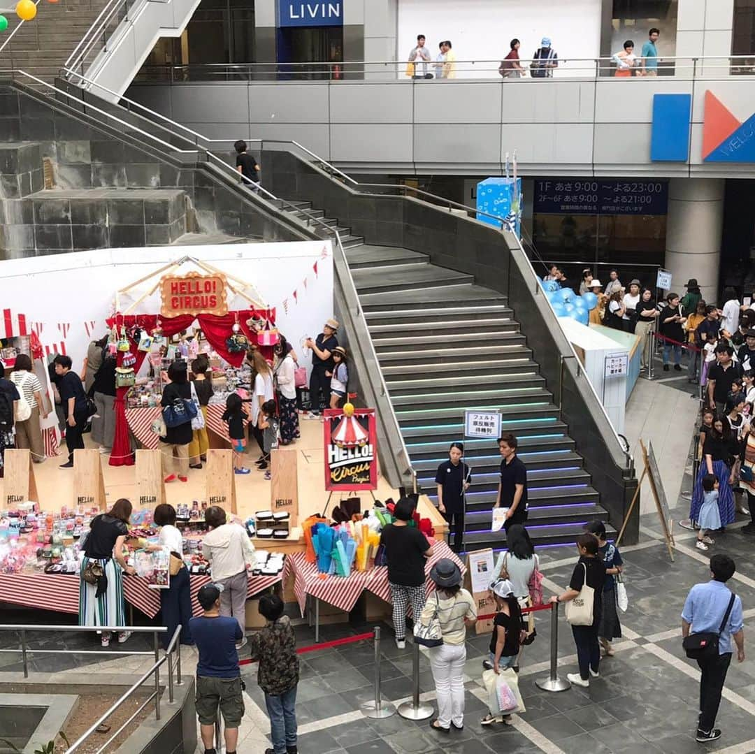 千秋さんのインスタグラム写真 - (千秋Instagram)「満員御礼👏🏻👏🏻👏🏻👏🏻👏🏻 ハローサーカス東京・練馬が開演しました🎪💚 今日と明日の2日間だけですが、内容は盛り沢山✨ ・素材が買えるハローサーカスキャビネット同時開催 ・初期に名物だった千秋フリマ、久しぶりに開催 ・ポケビ衣装を使ったチロル社バッグ限定1個 ・ハローサーカスマガジン ・ハローサーカスオリジナルグッズ、限定グッズなど  光が丘IMA専門店街に遊びに来て下さいね💚 行列はありますが、数時間待ちとかにならないように工夫しています コメントは@hellocircus777 でお待ちしてます ・ 🎪第21回ハローサーカスin練馬🎪 6/22～6/23 11時～18時 東京練馬光が丘IMA専門店街  #ハローサーカス #hellocircus #ハンドメイド #光が丘IMA #練馬 #ハローサーカスキャビネット  詳細は全て @hellocircus777」6月22日 12時15分 - chiaki77777