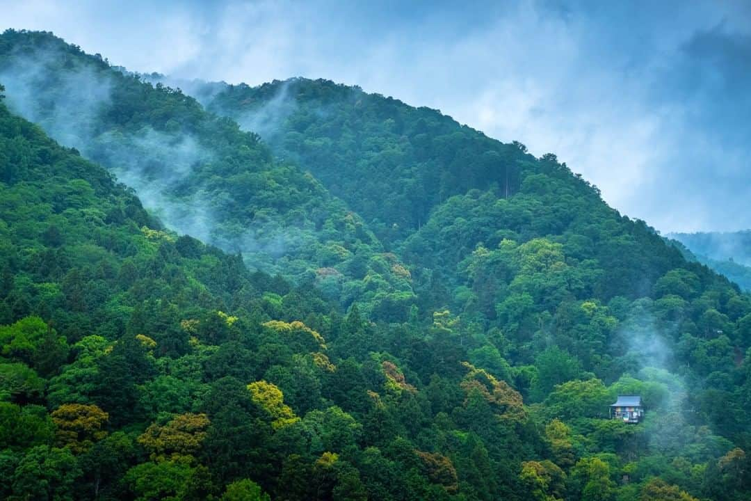 National Geographic Travelさんのインスタグラム写真 - (National Geographic TravelInstagram)「Photo by @michaelclarkphoto | The Daihi Temple in Senkō-ji is a Zen temple on an Arashiyama mountainside just outside of Kyoto, Japan. With striking views over the city of Kyoto in one direction and this incredible view of the mountains in the other, this is one of the most scenic spots in and around Kyoto that we found on our recent trip to Japan. #kyoto #japan #arashiyama」6月8日 4時02分 - natgeotravel