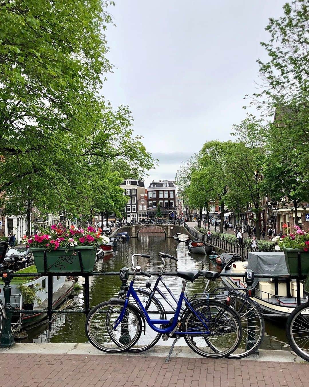 ダニエル・パナベイカーさんのインスタグラム写真 - (ダニエル・パナベイカーInstagram)「Does a bike ride count as a work out for all the dutch pancakes I’ve eaten? #Amsterdam」6月8日 4時12分 - dpanabaker