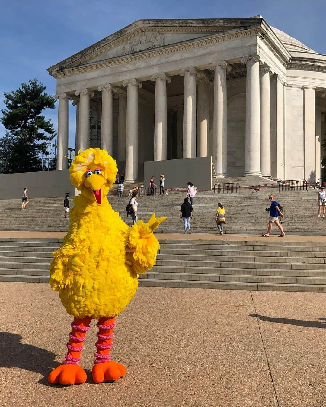 セサミストリートさんのインスタグラム写真 - (セサミストリートInstagram)「Sesame Street ➡️ Washington, D.C. Can’t wait to see everyone tomorrow at the Sesame Street Road Trip! 💚 @visitwashingtondc」6月8日 4時39分 - sesamestreet