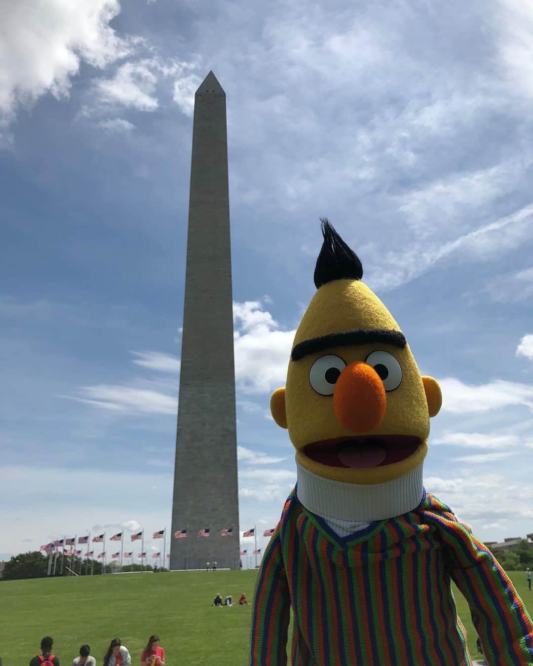 セサミストリートさんのインスタグラム写真 - (セサミストリートInstagram)「Sesame Street ➡️ Washington, D.C. Can’t wait to see everyone tomorrow at the Sesame Street Road Trip! 💚 @visitwashingtondc」6月8日 4時39分 - sesamestreet