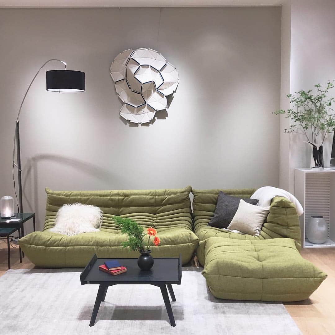 ligne roset shopのグルメインスタ