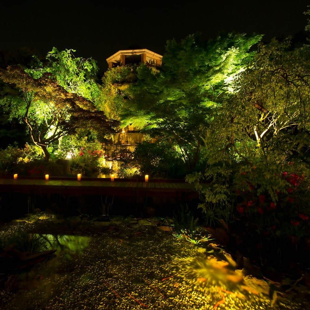 THE WESTIN TOKYO | ウェスティンホテル東京さんのインスタグラム写真 - (THE WESTIN TOKYO | ウェスティンホテル東京Instagram)「日本の初夏の風物詩、ホタルの季節やってきました✨ ウェスティンホテル東京の「ウェスティン ガーデン」では、ヘイケボタルが美しい光を放ちながら舞い始めています😊 皆さまにホタルの鑑賞を楽しんでいただけるよう、本日よりライトアップの照明を控え、開園時間を21時🕘まで延長いたします。夜空に星が瞬くような幻想的な光を映し出すホタルを眺めに、ぜひお越しくださいませ。 ※今年のホタルはそろそろ終わりのようです(6月20時点)。 ...... It's that time of the summer when magical fireflies enchant the night✨ Visit The Westin Garden to enjoy a night colored by dancing fireflies and immerse yourself in the fantastic sight of these tiny creatures. Starting from today until approximately the middle of June, The Westin Garden will extend its opening hours to 9pm 🕘 and the ambient lighting will also be dimmed for the best enjoyment.  Flashlights are also available on request at our service desk. ...... #ウェスティンホテル東京 #ウィスティンホテル #ウェスティン #ホテル #蛍 #ホタル #ほたる #絶景 #けしからん風景 #夜景 #ガーデン #日本 #東京 #恵比寿 #旅行 #週末 #WestinTokyo #westinhotel #thewestintokyo #westin #hotel #tokyo #ebisu #fireflies #firefly #lightningbugs #summer #familyfun」6月7日 20時52分 - westintokyo