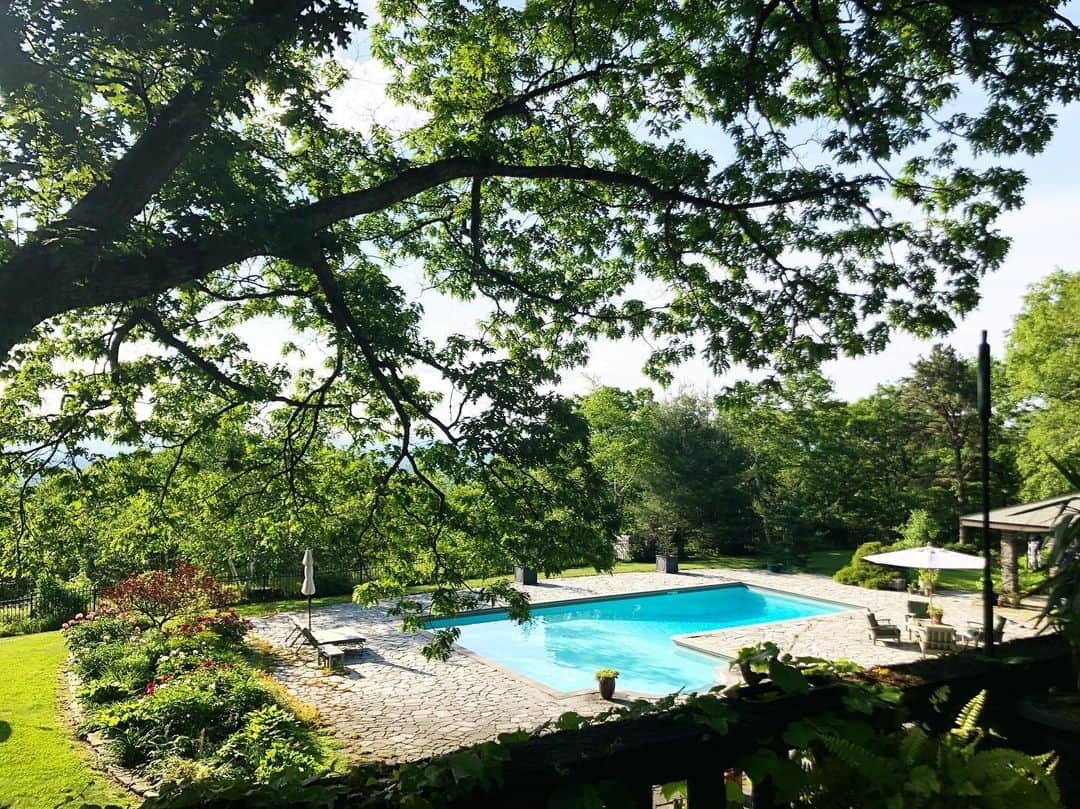 稲木ジョージのインスタグラム：「Summer is here 🏰 🍃⛱」