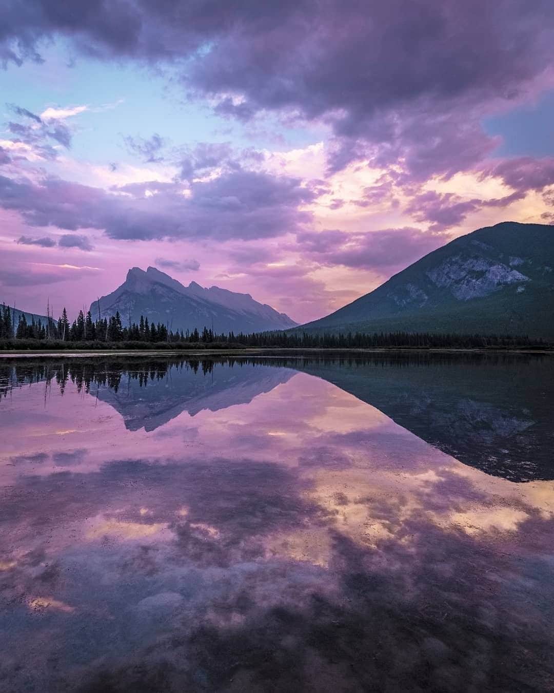 REIさんのインスタグラム写真 - (REIInstagram)「"I always love how reflections of trees on distant lake shores look like audio waveforms. What is nature trying to say to us?" // @walasavagephoto in Banff National Park, #Canada. #OptOutside」6月7日 21時01分 - rei